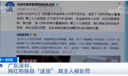 深圳黄先生最新爆料,揭秘事件背后惊人真相